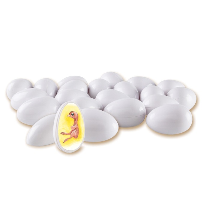 Egy csirke életciklusa, tojás, Learning Resources