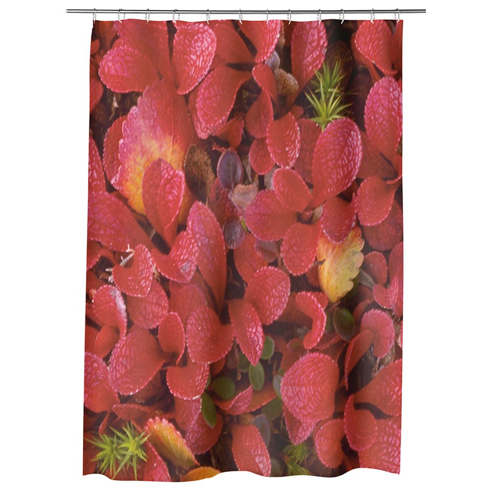 Perdea Dus, Cada, pentru Baie, Heartwork, Petale rosii, Model Multicolor, Decoratiuni Baie, 150 x 200 cm