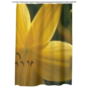 Perdea Dus, Cada, pentru Baie, Heartwork, Floare galbena, Model Multicolor, Decoratiuni Baie, 150 x 200 cm Perdea Dus, Cada, pentru Baie, Heartwork, Floare galbena, Model Multicolor, Decoratiuni Baie, 150 x 200 cm