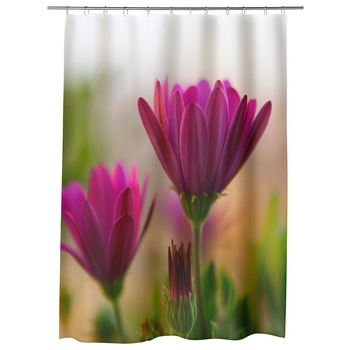 Perdea Dus, Cada, pentru Baie, Heartwork, Cateva flori, Model Multicolor, Decoratiuni Baie, 150 x 200 cm Perdea Dus, Cada, pentru Baie, Heartwork, Cateva flori, Model Multicolor, Decoratiuni Baie, 150 x 200 cm