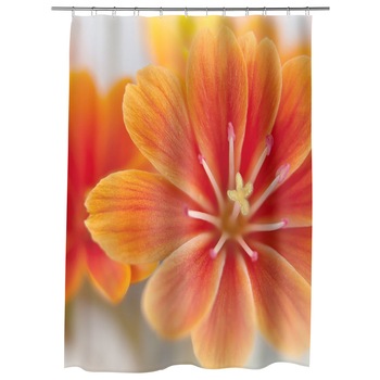 Perdea Dus, Cada, pentru Baie, Heartwork, Floare Lewisia, Model Multicolor, Decoratiuni Baie, 150 x 200 cm
