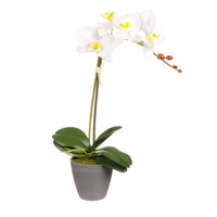 floare artificiala ornamentala in ghiveci orhidee alba cu frunze verzi inflorescente si boboci lungime 37 cm imagen 30_0_
0