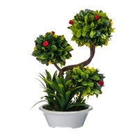 Cauți Bonsai Alege Din Oferta Emag Ro