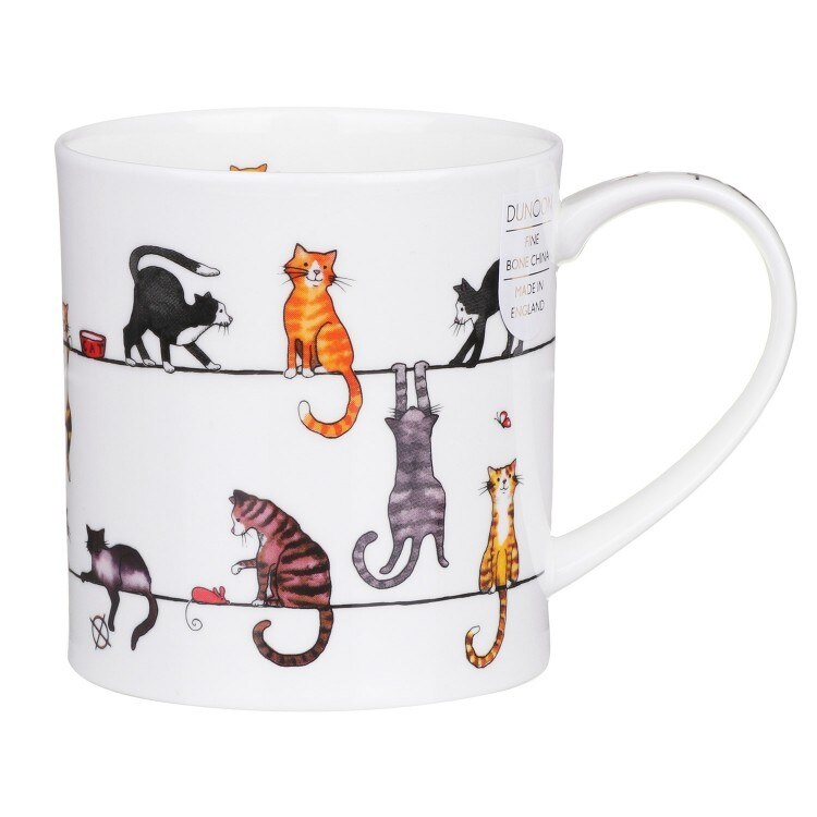 Cana - Live Wires Cat Orkney, Portelan, 320 ml