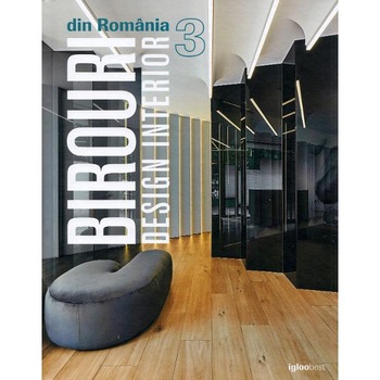 Birouri din Romania. Design interior 3 Birouri din Romania. Design interior 3