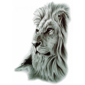 Cauți Tatuaj Leu Si Leoaica Alege Din Oferta Emag Ro