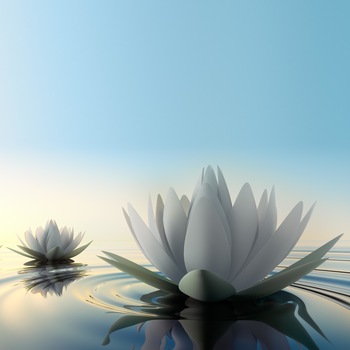 Panou sticla decorativa bucatarie 600 x 750 MM NUFAR Panou sticla decorativa bucatarie 600 x 750 MM NUFAR