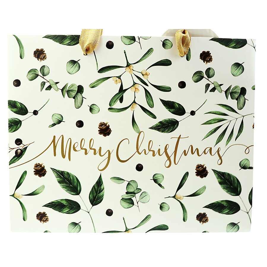 Punga de cadou landscape - Winter Botanics