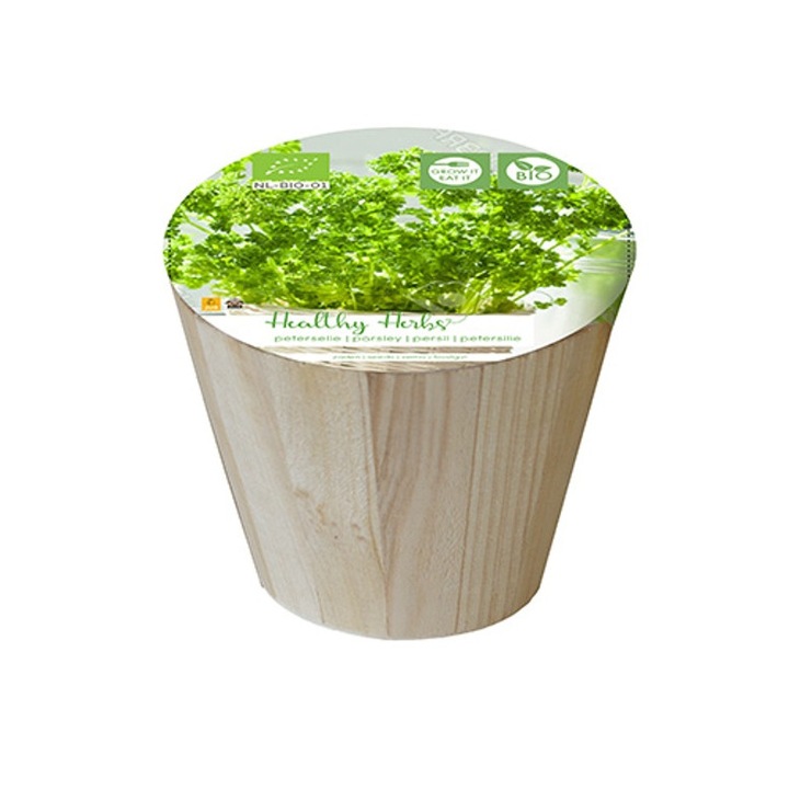 Patrunjel, set de plante aromatice bio pentru interior, 200 gr