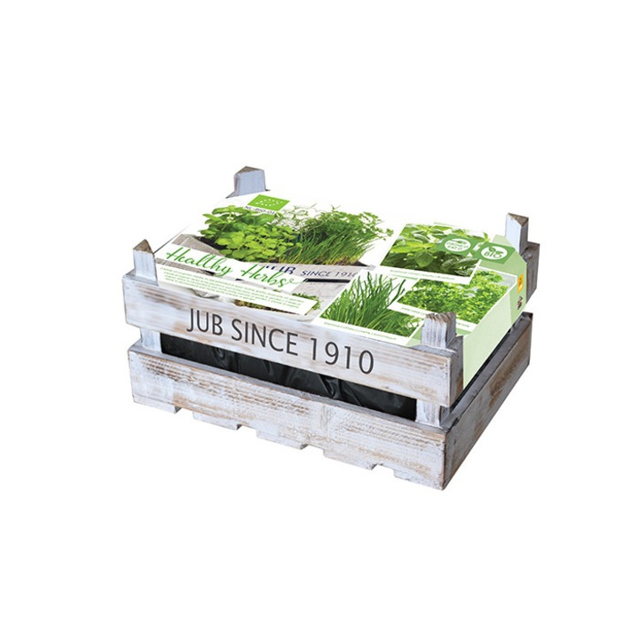 Mix de plante aromatice bio, set de cultivare, 400 gr