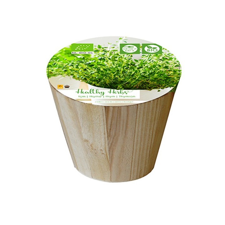 Cimbru, set de plante aromatice bio pentru interior, 200 gr