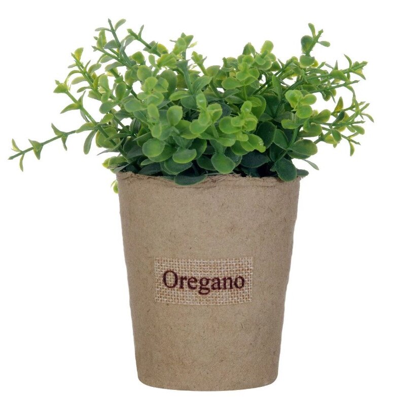 Glastra Oregano, Zola®, din hartie cu verdeata, 18x15 cm