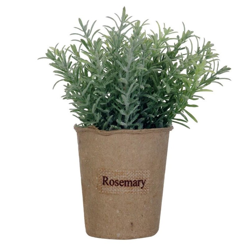 Glastra Rosemary, Zola®, din hartie cu verdeata, 19x17 cm