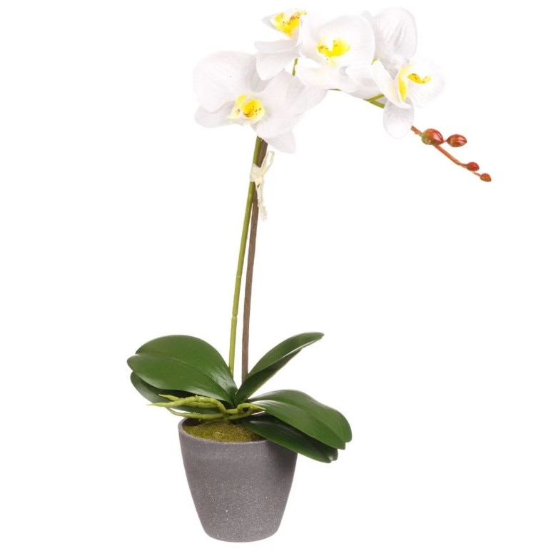 Ghiveci gri, Zola®, cu Orhidee alba artificiala, 42 cm