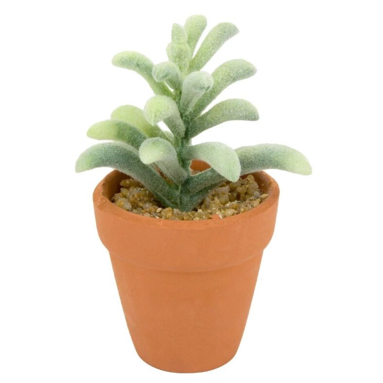 Ghiveci ceramica, Zola®, cu Cactus, 10 cm