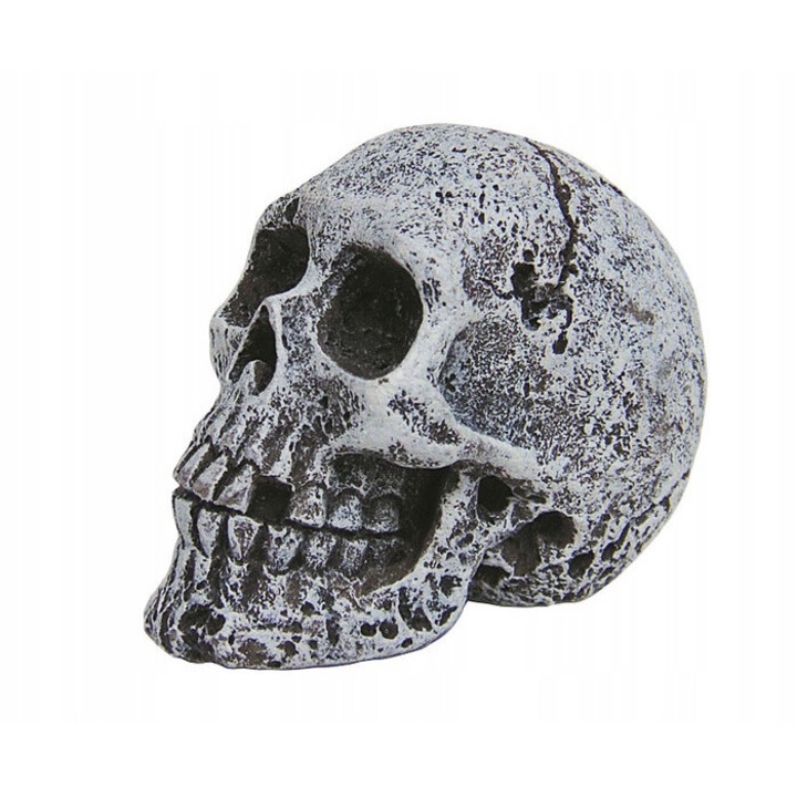 Decor Terariu, Craniu, 5.5CM