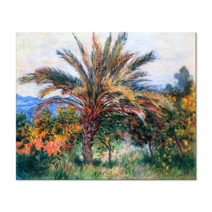 Tablou Canvas Premium Arta Clasica Heartwork, Reproducere, Claude Monet, Palm Tree at Bordighera 1884, 80 cm x 66 cm