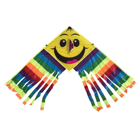 Zmeu Cu Emoticon Si Franjuri Multicolore Cu Franghie De 40 Metrii Emag Ro