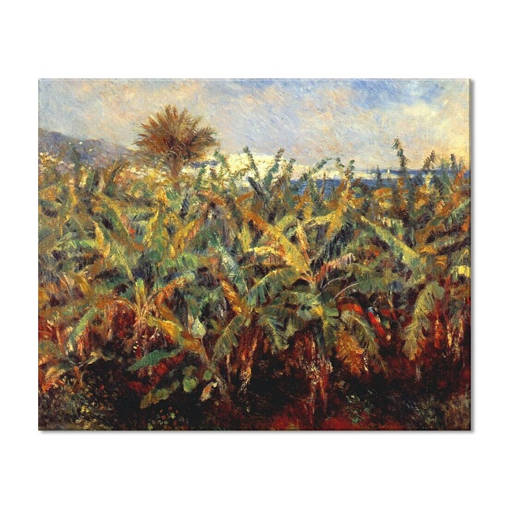 Tablou Canvas Premium Arta Clasica Heartwork, Reproducere, Pierre-Auguste Renoir, Field of banana trees 1881, 65 cm x 80 cm