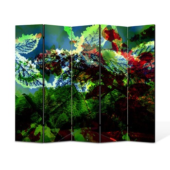 Paravan 5 piese Premium Heartwork TrueColor Scenariu de culori, Panza pe cadru de lemn, Decoratiuni Moderne pentru Casa, 5 x 45 x 150 cm, 225 x 150 cm Paravan 5 piese Premium Heartwork TrueColor Scenariu de culori, Panza pe cadru de lemn, Decoratiuni Moderne pentru Casa, 5 x 45 x 150 cm, 225 x 150 cm