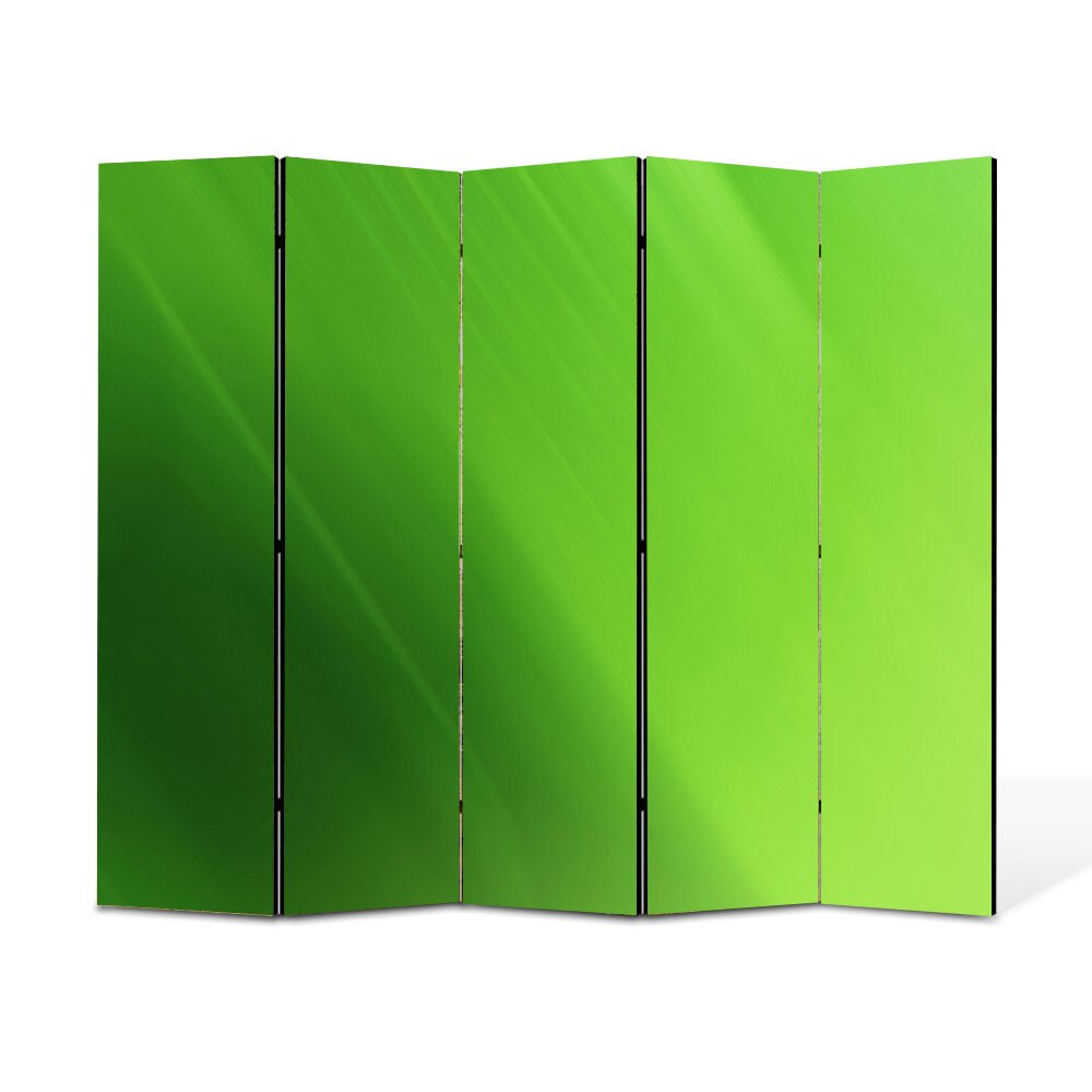 Paravan 5 piese Premium Heartwork TrueColor Verde, Panza pe cadru de lemn, Decoratiuni Moderne pentru Casa, 5 x 45 x 150 cm, 225 x 150 cm