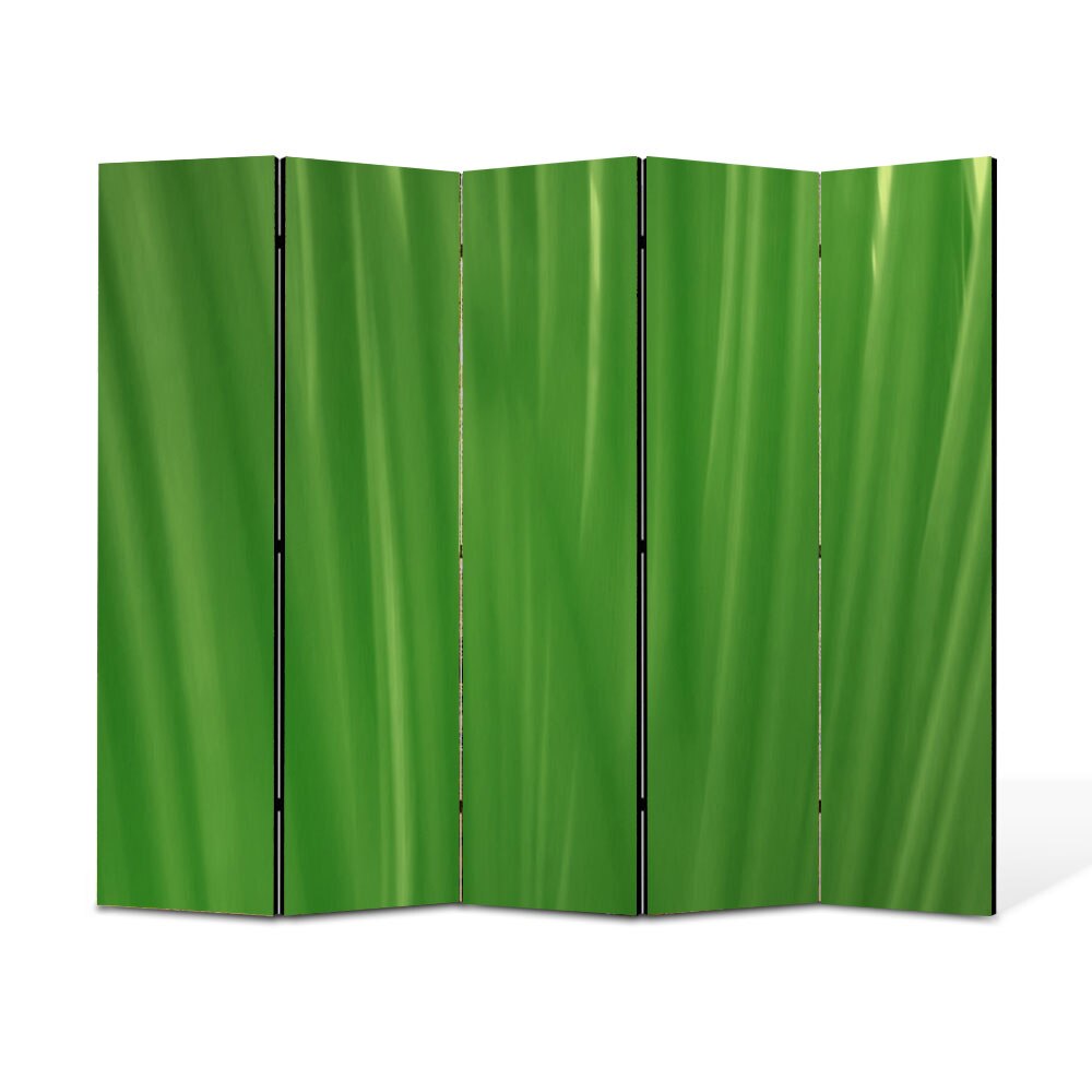 Paravan 5 piese Premium Heartwork TrueColor Fire de iarba, Panza pe cadru de lemn, Decoratiuni Moderne pentru Casa, 5 x 35 x 180 cm, 175 x 180 cm