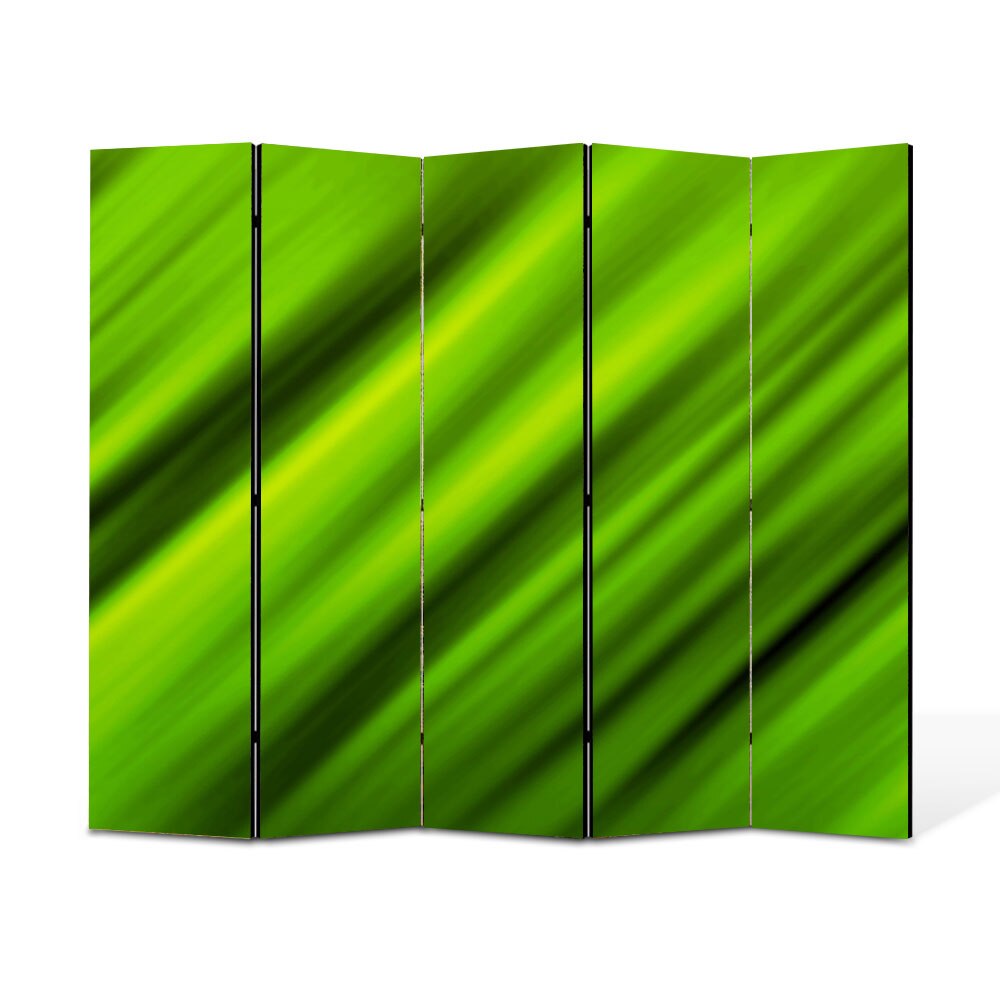 Paravan 5 piese Premium Heartwork TrueColor In viteza, Panza pe cadru de lemn, Decoratiuni Moderne pentru Casa, 5 x 45 x 150 cm, 225 x 150 cm