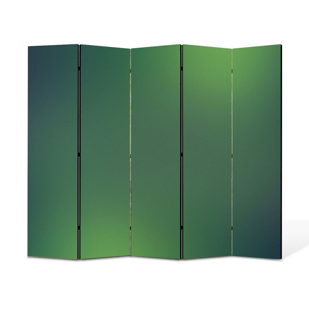 Paravan 5 piese Premium Heartwork TrueColor Lumini verzi, Panza pe cadru de lemn, Decoratiuni Moderne pentru Casa, 5 x 45 x 150 cm, 225 x 150 cm