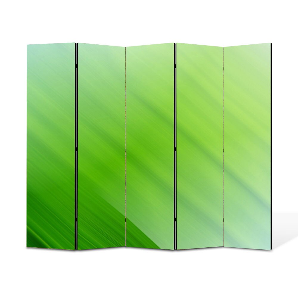 Paravan 5 piese Premium Heartwork TrueColor Verzui, Panza pe cadru de lemn, Decoratiuni Moderne pentru Casa, 5 x 45 x 150 cm, 225 x 150 cm