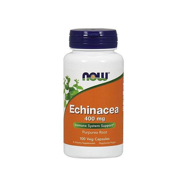 Supliment nutritiv Now Echinacea, Suport imunitar
