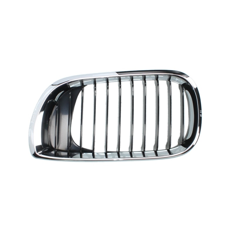 Grila radiator stanga, BMW Seria 3, 2001-2005, 6502-07-0061991AP