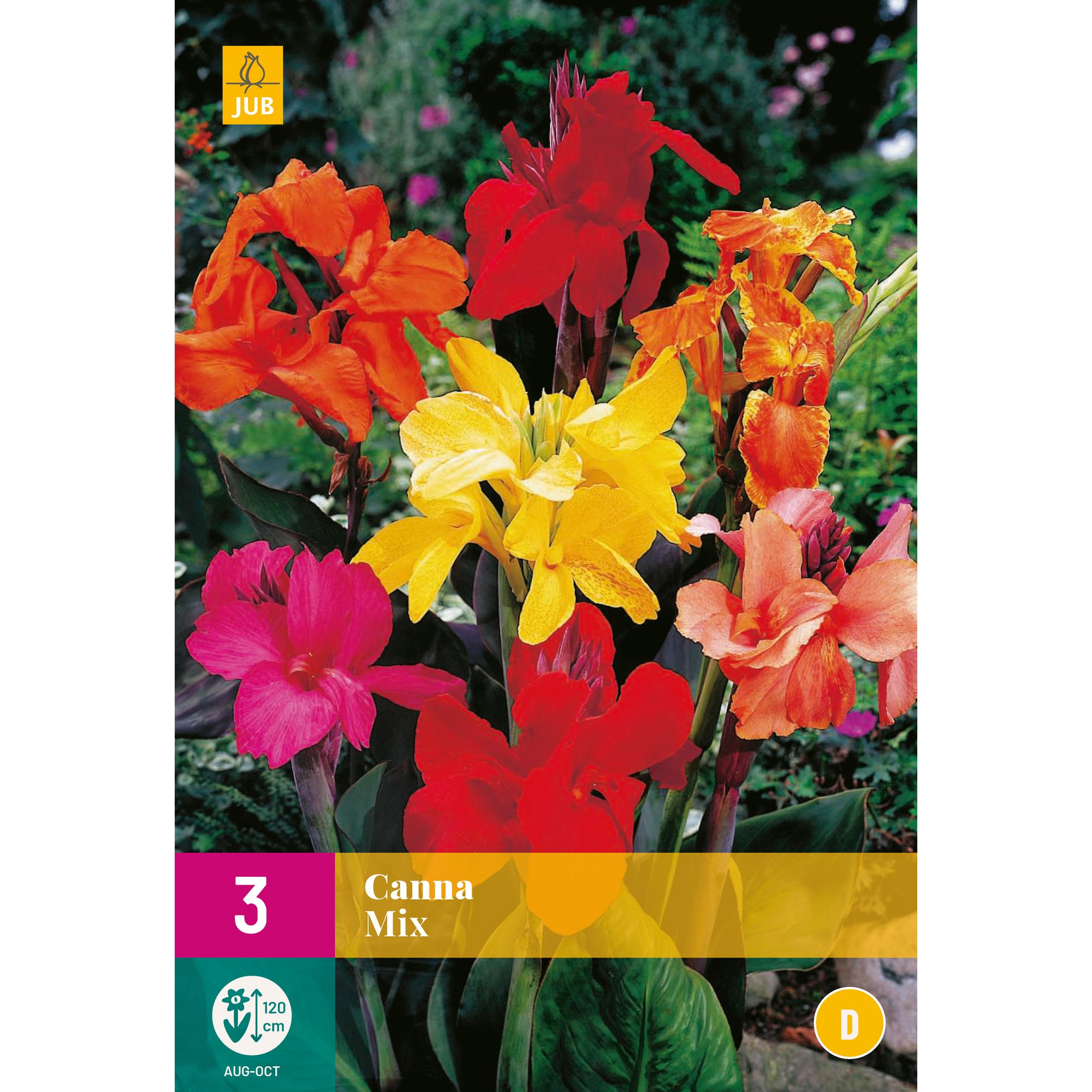 Cauți bulbi canna indica? Alege din oferta eMAG.ro