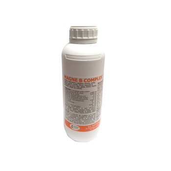 Complex de vitamina B pentru animale, Magne B Complex, Pasteur, 1L Complex de vitamina B pentru animale, Magne B Complex, Pasteur, 1L