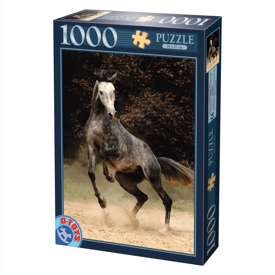 Puzzle D-Toys Cal Sur Rotat 1000 piese