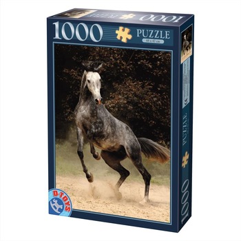 Puzzle D-Toys Cal Sur Rotat 1000 piese Puzzle D-Toys Cal Sur Rotat 1000 piese