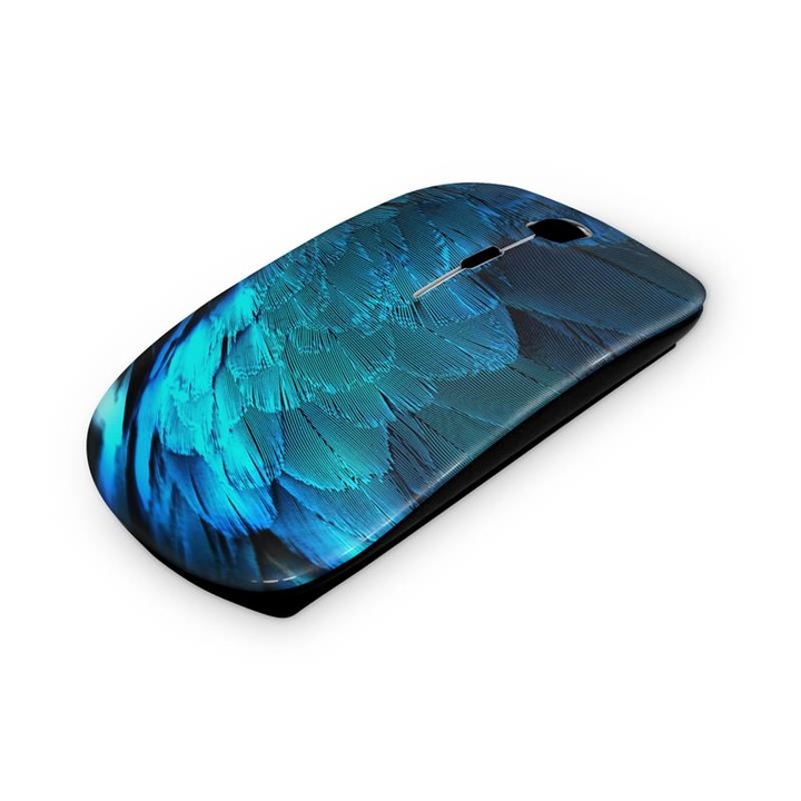 Abstract mouse fara fir 11