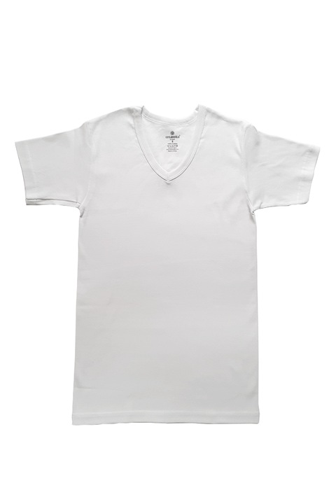 Мъжка тениска 047, памук, Ceylanoglu, бяла, L