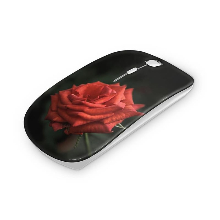 Mouse fara fir, Mobiltokguru, Tata cu pistrui 5