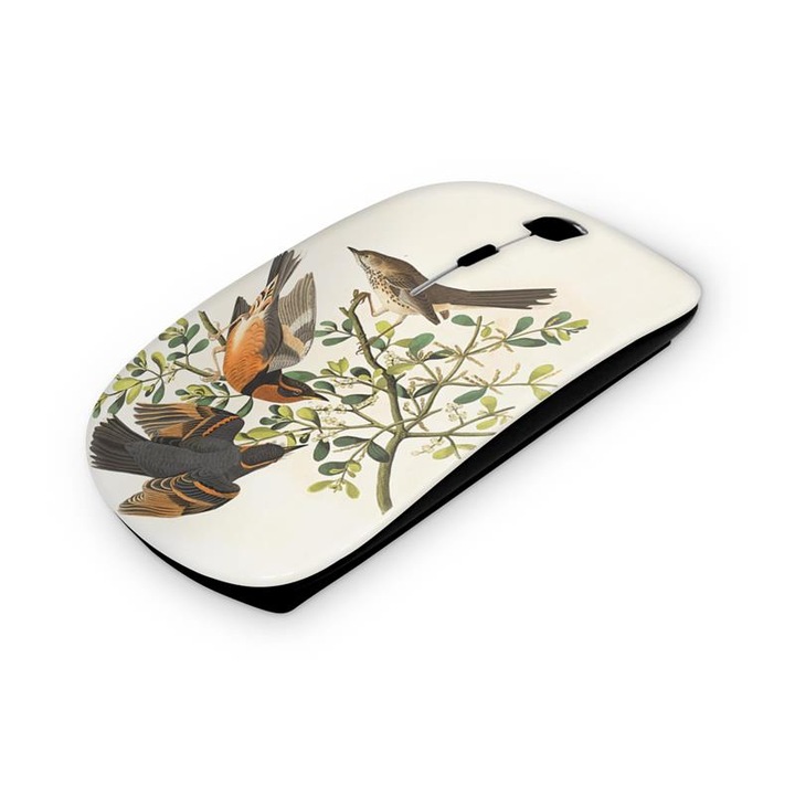 Mouse fara fir, Mobiltokguru, Ziua Indragostitilor 1