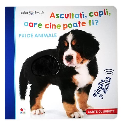 Bebe invata. Ascultati, copii, oare cine poate fi? Pui de animale