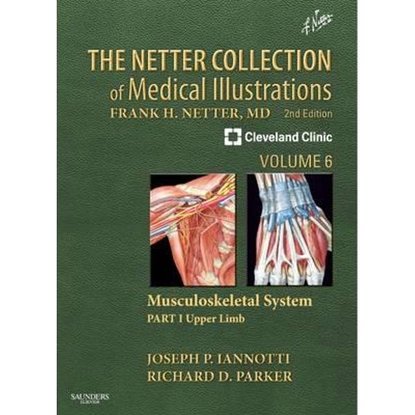 Netter Collection of Medical Illustrations: Musculoskeletal