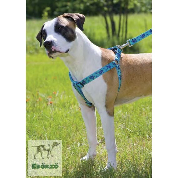 Lupine Stepin hám (Turtle Reef 2,5 cm széles 6196 cm) eMAG.hu