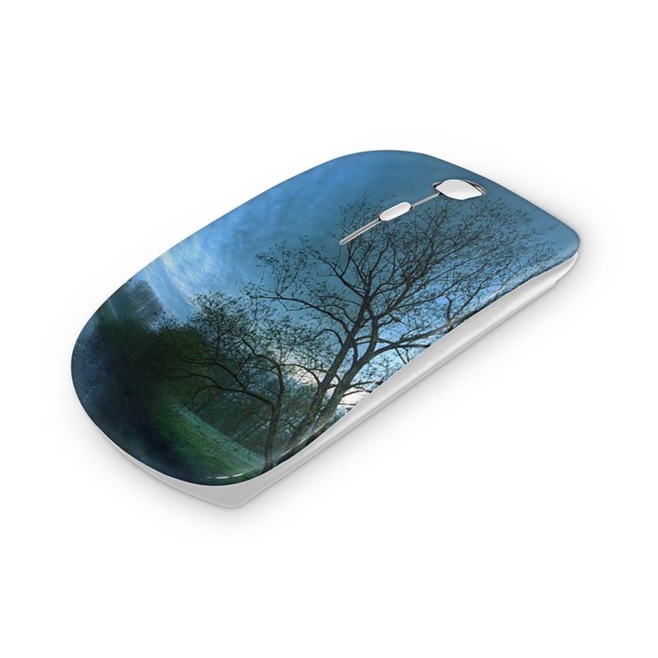 Mouse fara fir, Mobiltokguru, Apicultor 1