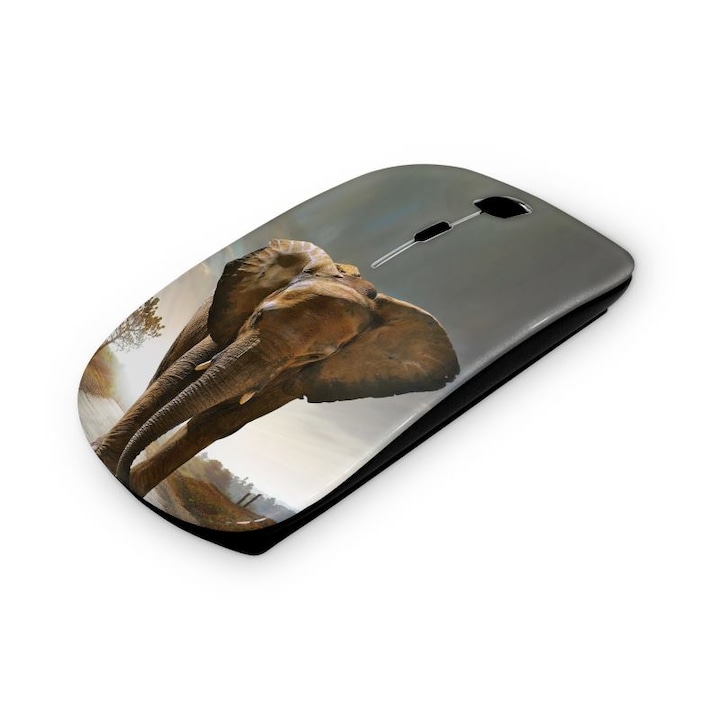 Mouse fara fir, Mobiltokguru, Model trandafiri 113