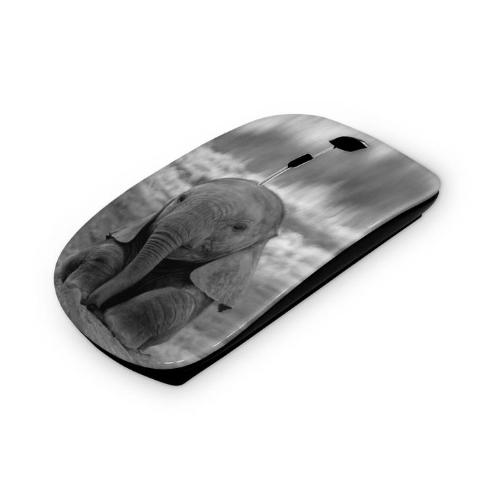 Mouse fara fir, Mobiltokguru, Model leopard 1