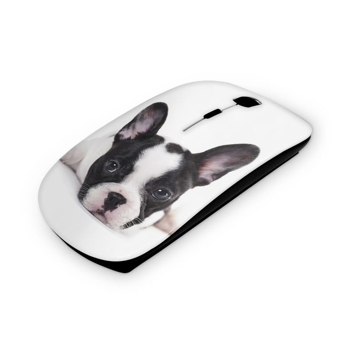 Mouse fara fir, Mobiltokguru, Pasari 111