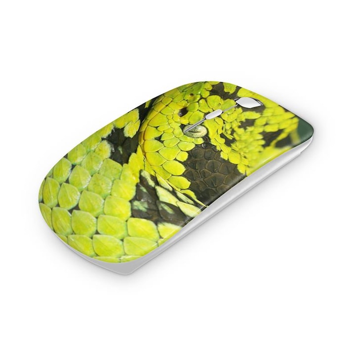Mouse fara fir, Mobiltokguru, Iarna 1110