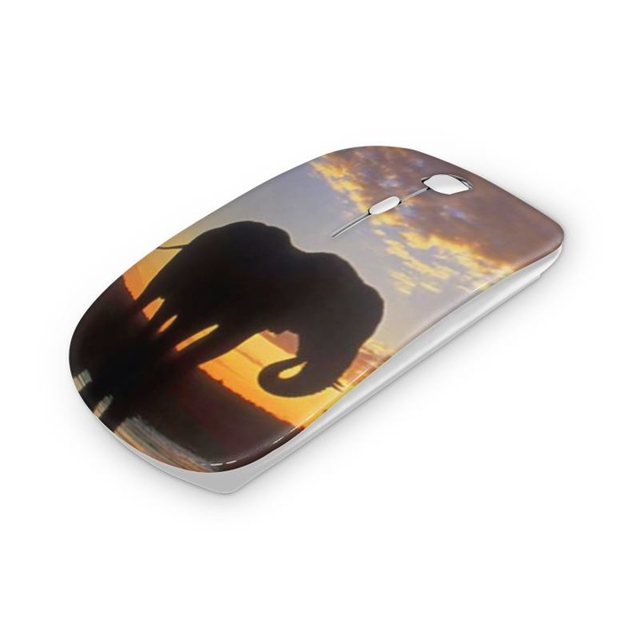Mouse fara fir, Mobiltokguru, Gene si ruj 1