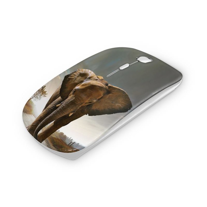 Mouse fara fir, Mobiltokguru, Fire 1119