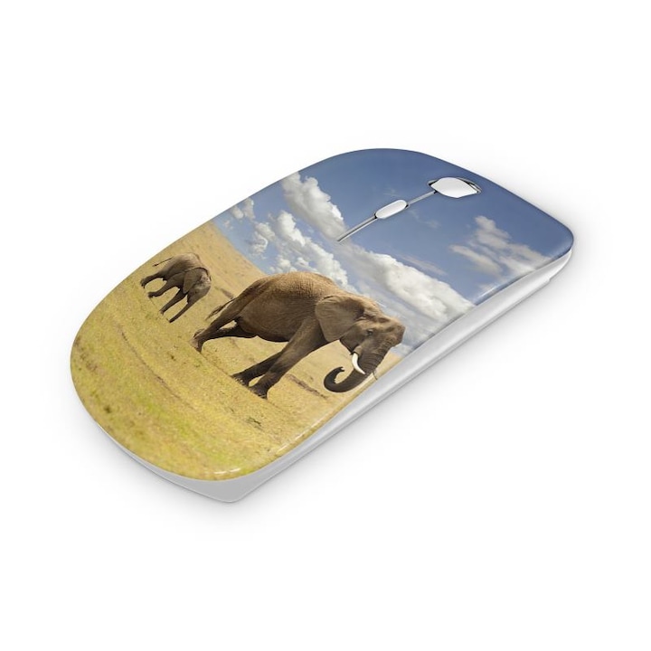 Mouse fara fir, Mobiltokguru, Pisica 39